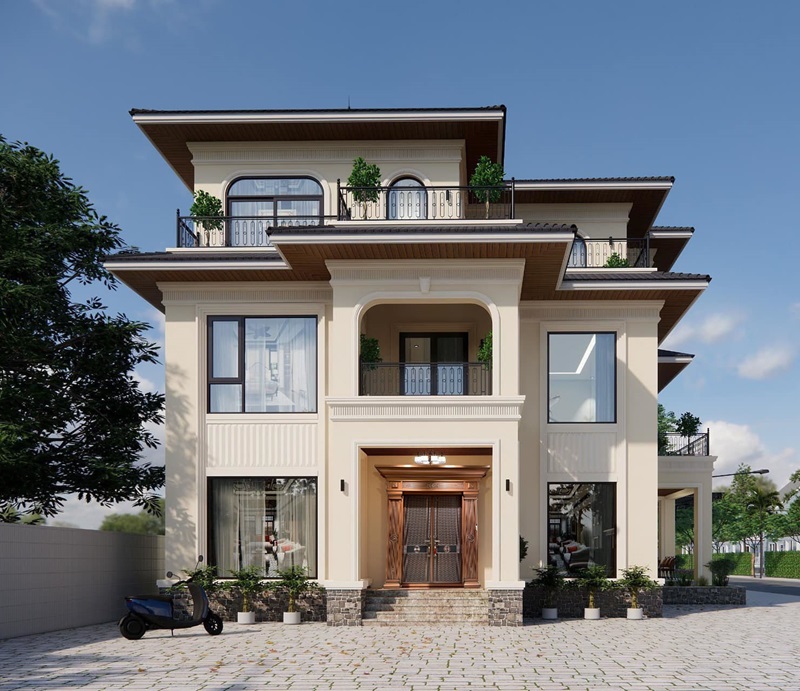 Văn hoá - Hoạt động